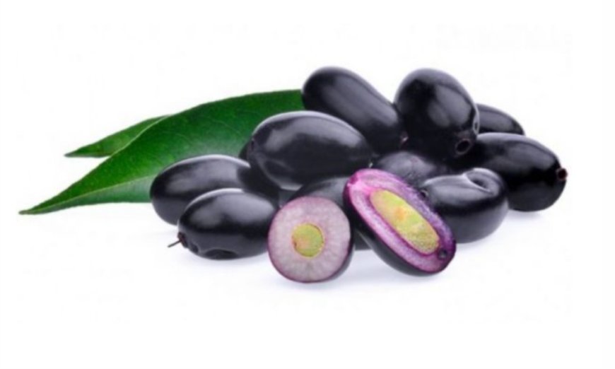 5 Compelling Reasons to Incorporate Jamun Seed Powder into Your Diet Regularly